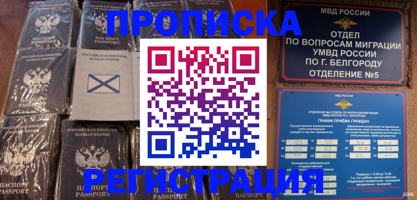 прописка гарантия в Могочи